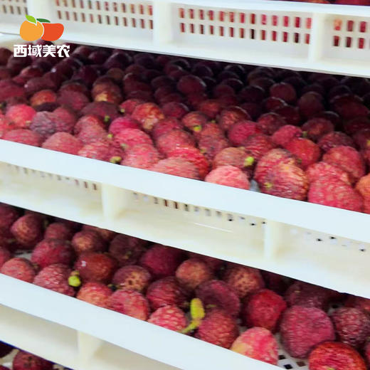 西域美农 冻眠仙进奉荔枝  仙进奉荔枝液氮锁鲜  甜而不腻  顺丰冷链发货 商品图2