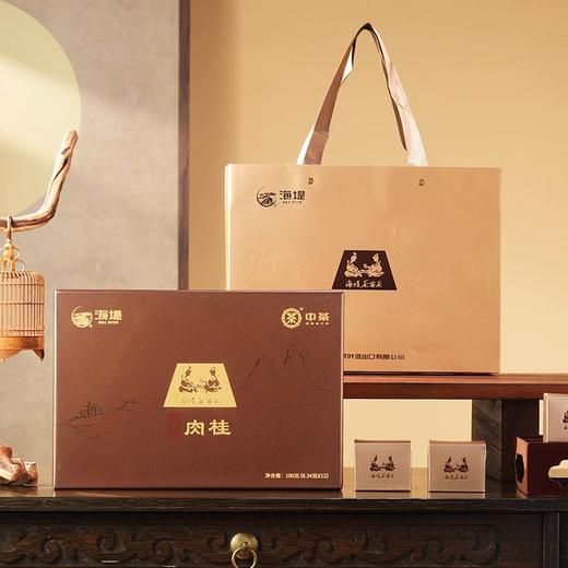中茶海堤茶客茶AT050NEW天心岩肉桂 100克/盒12包 商品图6