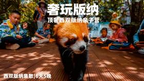 寒假仅余3期有位！速抢【2026寒假 | 奢玩西双版纳亲子6天5晚】4晚洲际+1晚小熊猫庄园，光酒店都值！动植物专家伴游讲解，五星好评爆款！过「高奢」版向往生活！