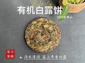 [2025有机白露饼]十年来的第一款有机白茶饼，2025有机白露饼沁凉、醇滑，花香、果香、木质香！（1饼收藏装）