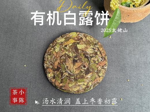 [2025有机白露饼]十年来的第一款有机白茶饼，2025有机白露饼沁凉、醇滑，花香、果香、木质香！（2饼及8饼收藏装） 商品图0