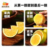 西域美农 云南哀牢山 冰糖橙 橙子 果肉细腻多汁 顺丰发货 商品缩略图2