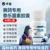 华畜兽药兽用酒石酸泰乐菌素胶囊小鸡鸭赛鸽子咳嗽气喘肺炎支原体 商品缩略图1