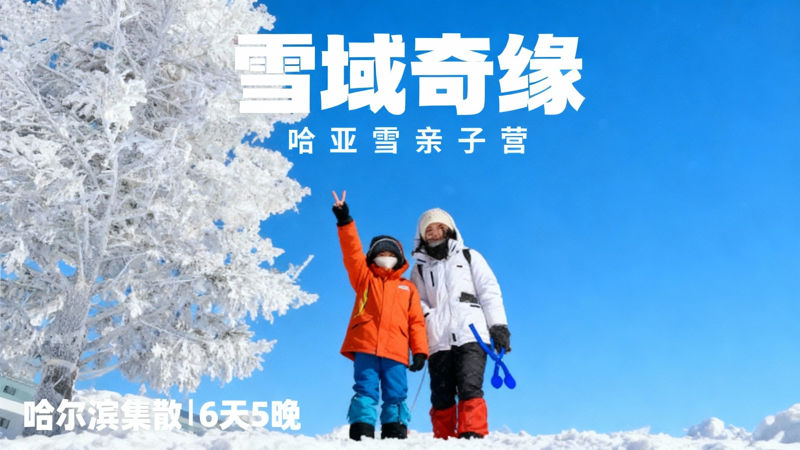 立减600【哈尔滨A线| 雪域奇缘6天5晚亲子营】5星好评畅玩哈尔滨+亚布力+雪乡+哈工大研学！不冻河捕鱼、雪林小火车、喂东北虎、雪中泡温泉、玩雪飘、马拉爬犁、雪地摩托…部分团满下单先询