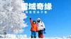 立减600【哈尔滨A线| 雪域奇缘6天5晚亲子营】5星好评畅玩哈尔滨+亚布力+雪乡+哈工大研学！不冻河捕鱼、雪林小火车、喂东北虎、雪中泡温泉、玩雪飘、马拉爬犁、雪地摩托…部分团满下单先询 商品缩略图0