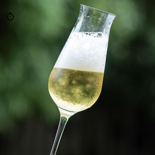 企鹅市集|西班牙吉乐礼炮酒庄Cava珍藏级干型起泡葡萄酒2019 香槟法发酵 大奖收割机！ 商品图2