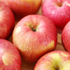新疆阿克苏冰糖心苹果5公斤（单果200克-250克） 产地直发 甜蜜糖心 口感酥脆 商品缩略图3