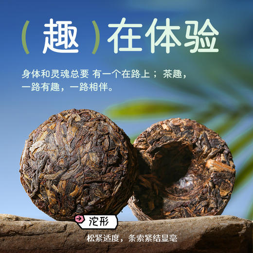 陈升号 2017年人生佳茗茶趣盒装90g（生茶） 商品图3