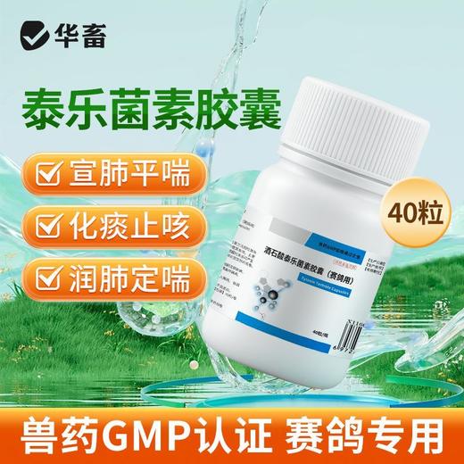 华畜兽药兽用酒石酸泰乐菌素胶囊小鸡鸭赛鸽子咳嗽气喘肺炎支原体 商品图2