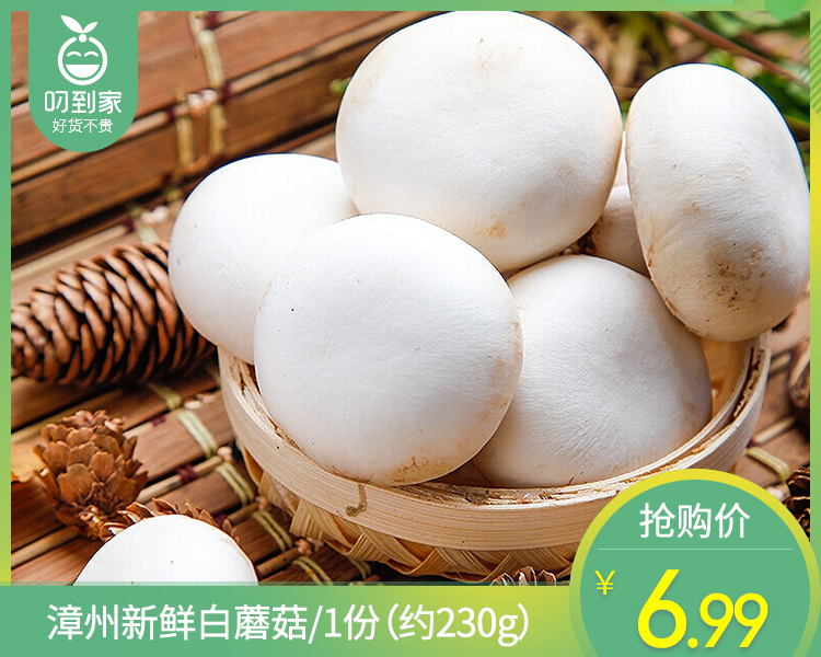 【叼鲜蔬】漳州新鲜白蘑菇/1份（约230g）
