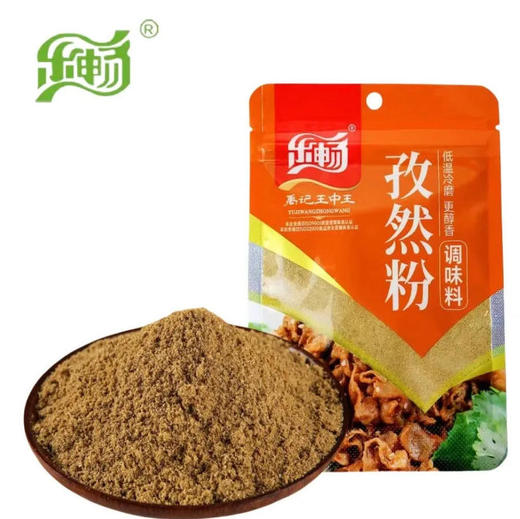 乐畅 禹记 王中王 孜然粉 30g/袋 商品图0