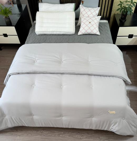 新品立体速暖冬被保暖助眠被G118000136 商品图0