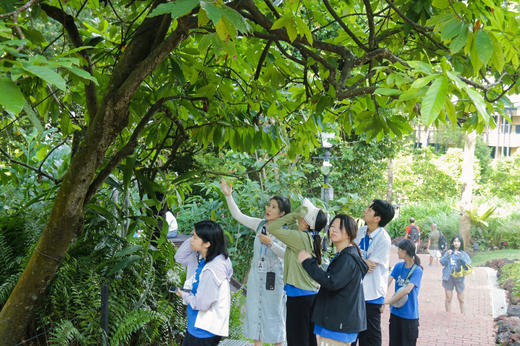 寒假独立营【新马奇遇记】7天6晚青少年东南亚文化探索营：参访南洋理工大学、拉曼大学；马六甲历史文化体验溯源；狮城知名历史文化初探；牛车水多元文化真人挑战； 商品图5