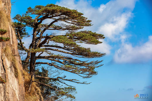 11月24日确定出发【赣皖行摄】江西婺源·宏村-塔川-篁岭-月亮湾-漳村-察关-菊径村-石城+安徽黄山-宁国落羽杉湿地公园-非遗油布伞-查济古村皖南秋色4天—5天—9天—11天 商品图14