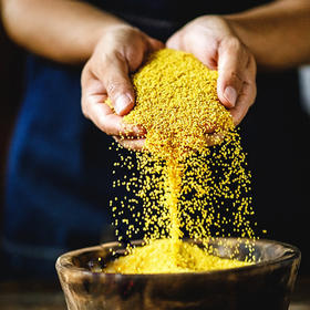 热卖！养胃 满满米油！“世界小米之乡”白小禾 内蒙古敖汉有机小米 色泽金黄 米香四溢 米油醇厚 1.3kg/袋