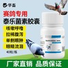华畜兽药兽用酒石酸泰乐菌素胶囊小鸡鸭赛鸽子咳嗽气喘肺炎支原体 商品缩略图0