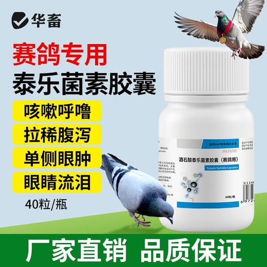 华畜兽药兽用酒石酸泰乐菌素胶囊小鸡鸭赛鸽子咳嗽气喘肺炎支原体 商品图0