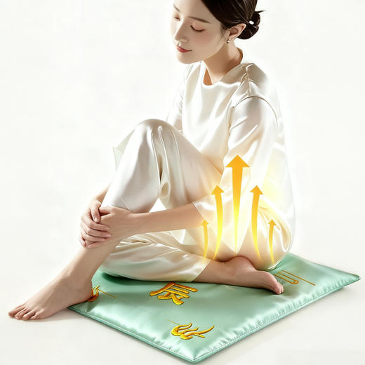 热卖！【久坐不如灸坐】瑶辰新型艾灸草本热敷垫电加热  9档控温 恒温发热 坐垫 全身通用「张仲景中医研究院监制」 商品图7