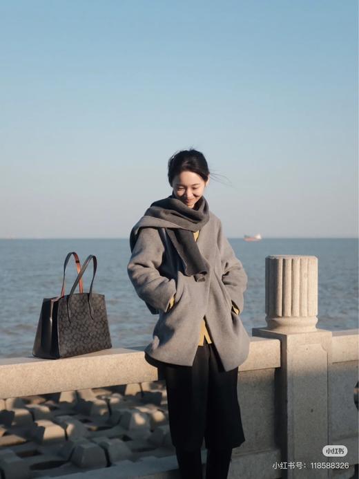 寇驰COACH 气质款carryall手提包👜 商品图5