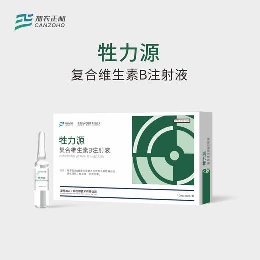 牲力源-复方维生素B注射液 商品图0