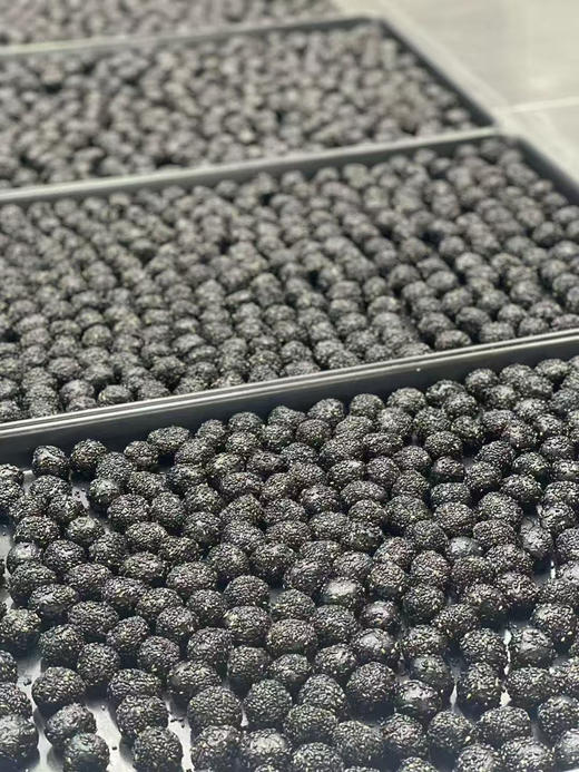 黄精黑芝麻六黑丸（20粒约220g） 商品图1