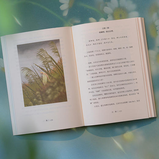 万物有信：七十二物候里的中国时序 商品图4