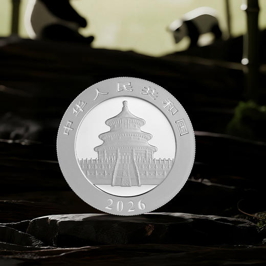 2026年熊猫30克银币 商品图4