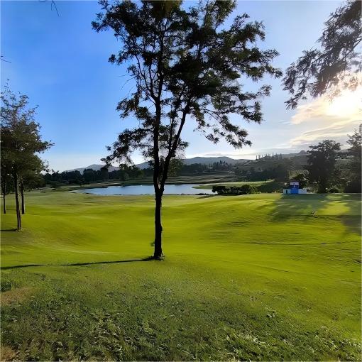 芭提雅·丝绸橡树高尔夫俱乐部 Silky Oak  Country Club ｜芭提雅高尔夫球场 | 泰国高尔夫球场俱乐部 商品图2