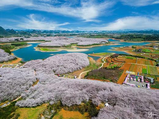 贵州平坝樱花、“夜郎天路“&”星空洞”探秘、鲍家屯油菜花、羊皮洞瀑布、悬崖下的化屋村、九洞天6天摄影团 商品图9