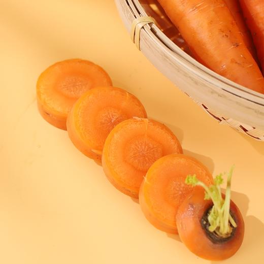 心无杂念的胡萝卜，扎根高原，才能甜得毫无杂质 内蒙高原胡萝卜 5斤/箱 商品图3