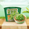 白象 香菜面 115g/桶 商品缩略图0