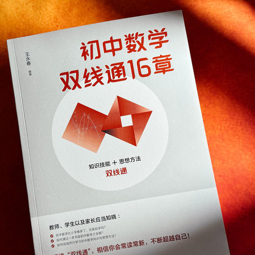 初中数学双线通16章 初中数学自学 贯通培养 王永春 商品图4