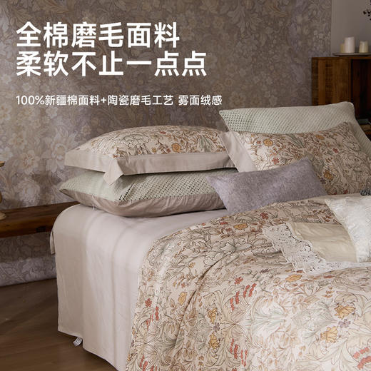 臻品100支磨毛四件套(威尼克斯) 商品图1