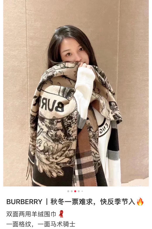bbr双面马术骑士徽标羊绒围巾🧣 210*50cm 商品图14