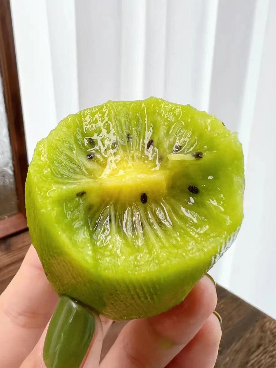 贵州修文【贵长猕猴桃】