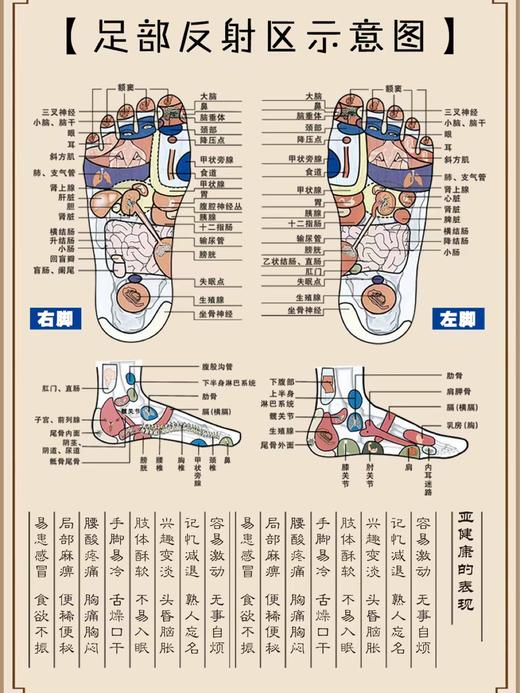 【多妈团购 故宫联名款养生娘娘24味足浴粉泡脚粉三大袋，共90包】精选24味好材，参考古方研制二十四味配方成分，经典气血双补配方，泡完神清气爽-东橙 商品图8