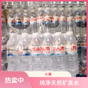 龙小雨瓶装水1件（500ml*24瓶）