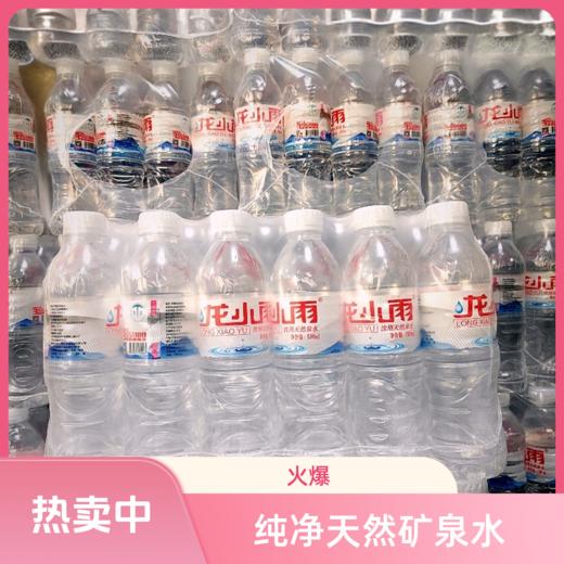 龙小雨瓶装水1件（500ml*24瓶） 商品图0