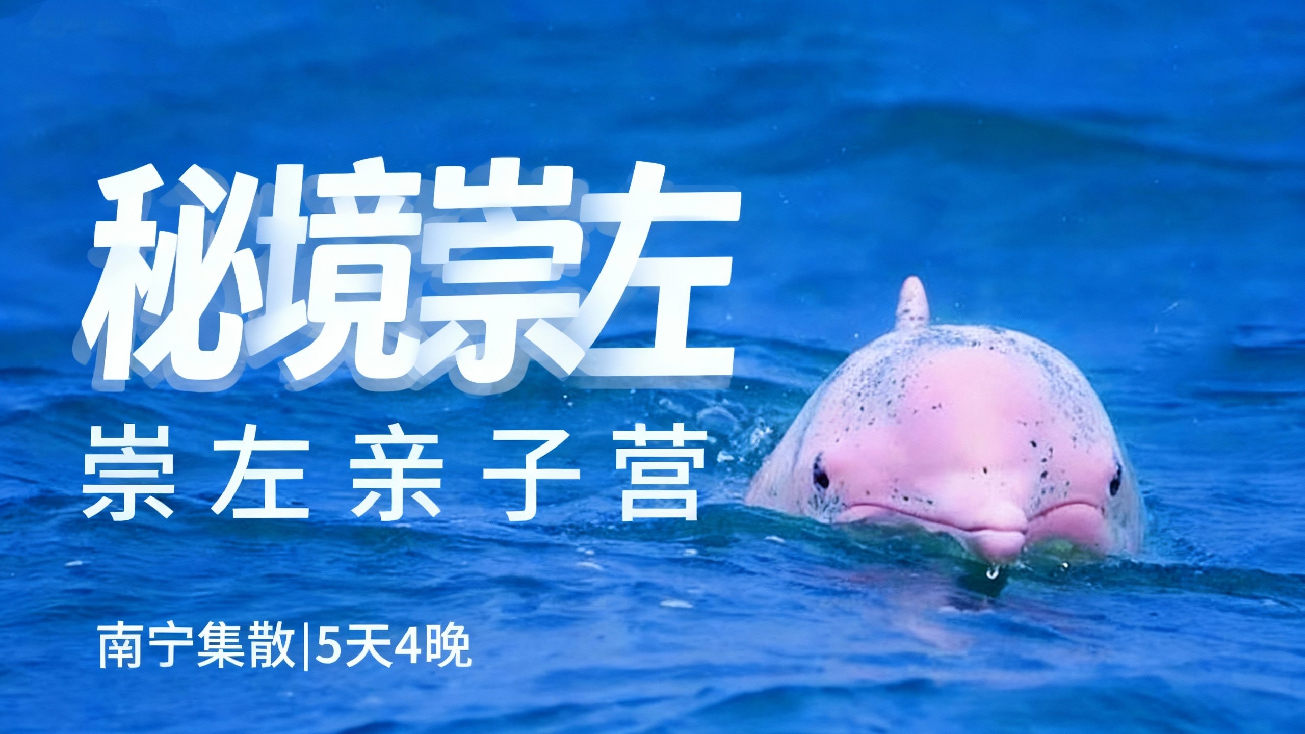 限时早鸟优惠减1000！【寒假·秘境崇左A线·5天4晚】秘境寻踪·解锁达尔文密码！横跨中越边境线，追寻中华白海豚，探秘比恐龙还古老的海洋活化石，野外科研濒危石山精灵…