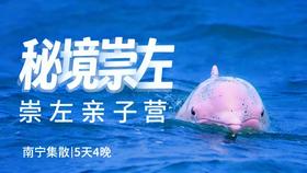 限时早鸟优惠减1000！【寒假·秘境崇左A线·5天4晚】秘境寻踪·解锁达尔文密码！横跨中越边境线，追寻中华白海豚，探秘比恐龙还古老的海洋活化石，野外科研濒危石山精灵…