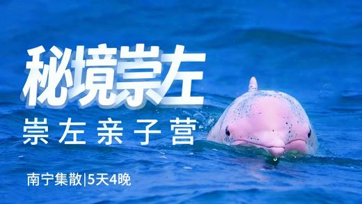 限时早鸟优惠减1000！【寒假·秘境崇左A线·5天4晚】秘境寻踪·解锁达尔文密码！横跨中越边境线，追寻中华白海豚，探秘比恐龙还古老的海洋活化石，野外科研濒危石山精灵… 商品图0