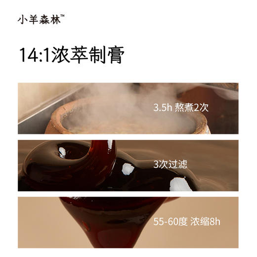 「乌梅三豆膏」清热补津液  古方复配 浇灭火苗 天然食材 酸甜可口 小包装随身带 随时“灭火” 商品图2