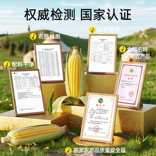 蒙鲜绅内蒙古甜糯玉米，真空锁鲜，当季采摘1.6kg/袋 商品图6