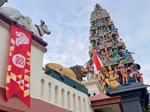 寒假独立营【新马奇遇记】7天6晚青少年东南亚文化探索营：参访南洋理工大学、拉曼大学；马六甲历史文化体验溯源；狮城知名历史文化初探；牛车水多元文化真人挑战； 商品图12