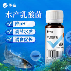 华畜乳酸菌水产养殖专用浓缩菌种鱼虾蟹池塘肥水降pH亚盐诱食菌粉