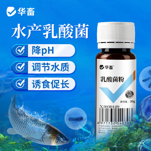 华畜乳酸菌水产养殖专用浓缩菌种鱼虾蟹池塘肥水降pH亚盐诱食菌粉 商品图0
