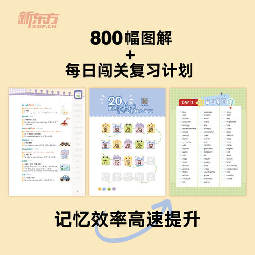 20天背完KET核心词汇 商品图2