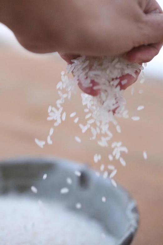 猫太推荐—内蒙大米 （10斤礼盒装） 商品图1