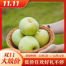 【青森王林水蜜桃苹果】果肉细腻 几乎纯甜无酸 苹果香气浓郁 香甜可口 3种规格任选