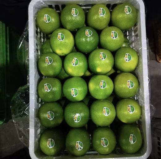 9.9元2斤血橙 商品图0